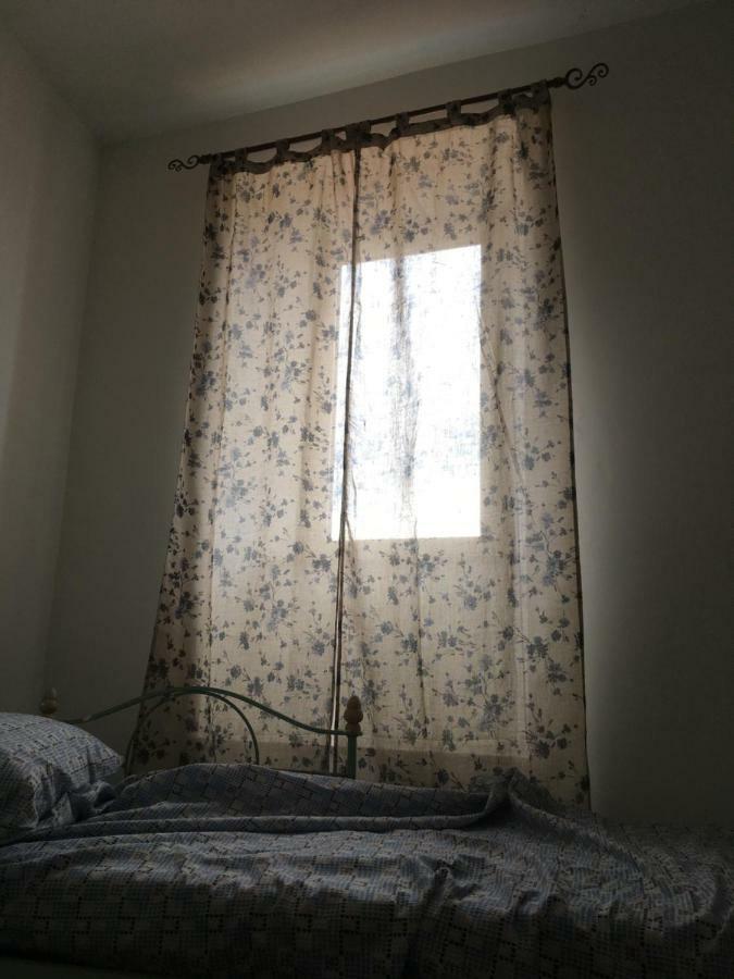 Whole Holiday Home Apartment Splendid Civitavecchia Da Pamino & Priscilla ภายนอก รูปภาพ